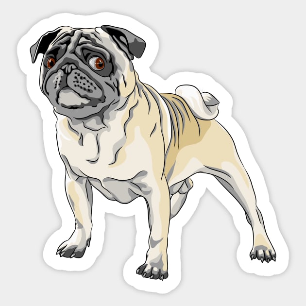 angry dog fawn pug breed Sticker by kavalenkava